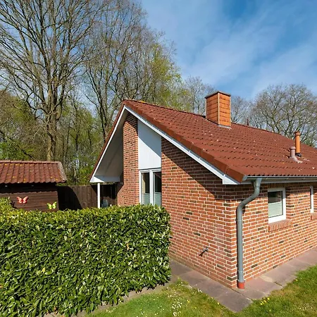 Vergissmeinnicht Papenburg