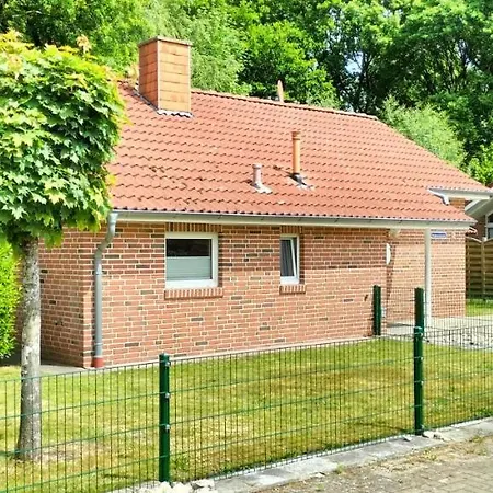 Vergissmeinnicht * Papenburg