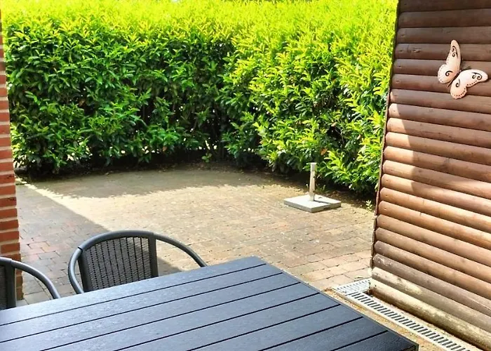 Nyaraló Vergissmeinnicht *